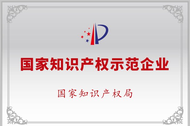 国度知识产权示范企业