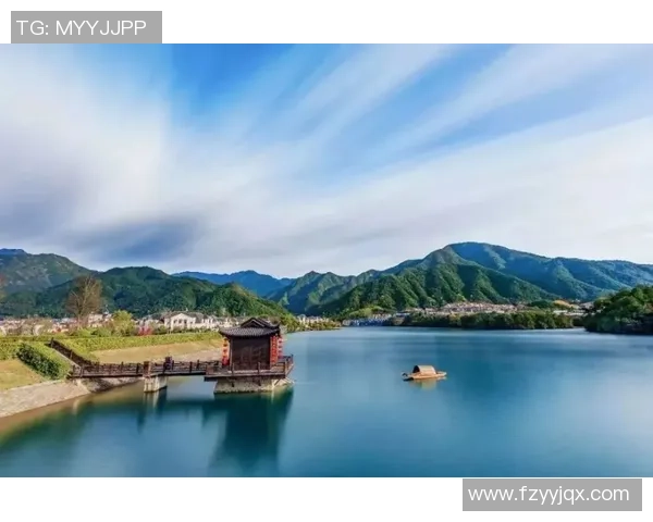 深圳篮球队的运营策略深度分析与市场前景展望