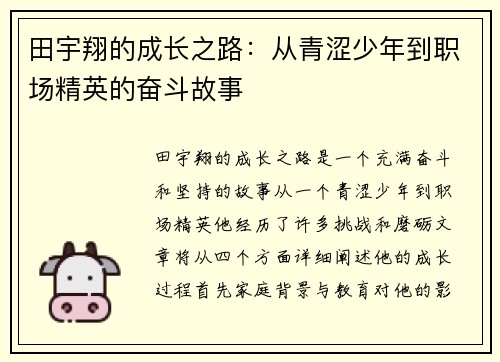 田宇翔的成长之路：从青涩少年到职场精英的奋斗故事